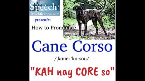 alaskan malamute pronunciation|how to pronounce cane corso.